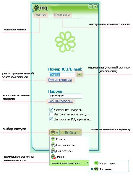 окно входа в icq