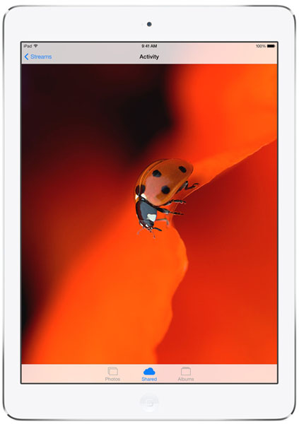iPad Air: цены и обзор характеристик, сравнение с iPad 4